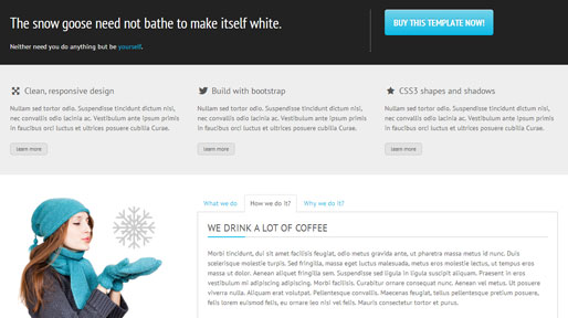 Snowflake Website template